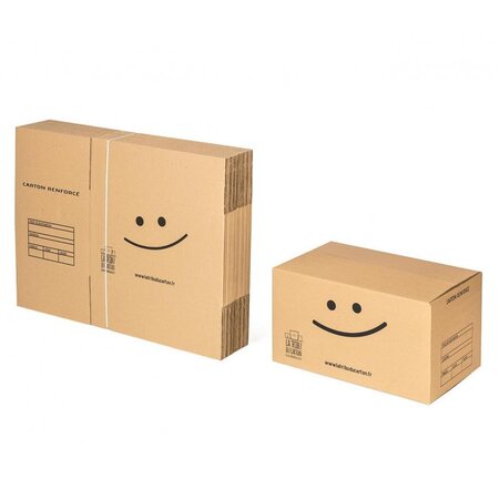Pack 20 cartons spécial stockage