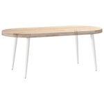 vidaXL Pieds de table basse coniques 4 pièces Blanc 30-31 cm Acier