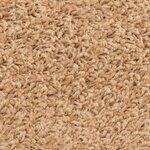 vidaXL Tapis d'escalier 15 pièces 56 x 17 x 3 cm Beige Demi-rond