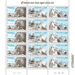 Timbre TAAF - Triptyque Otaries aux 3 âges