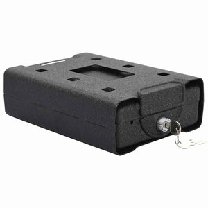 vidaXL Coffre de voiture avec verrouillage Noir 21.8 x 16 x 7 cm Acier