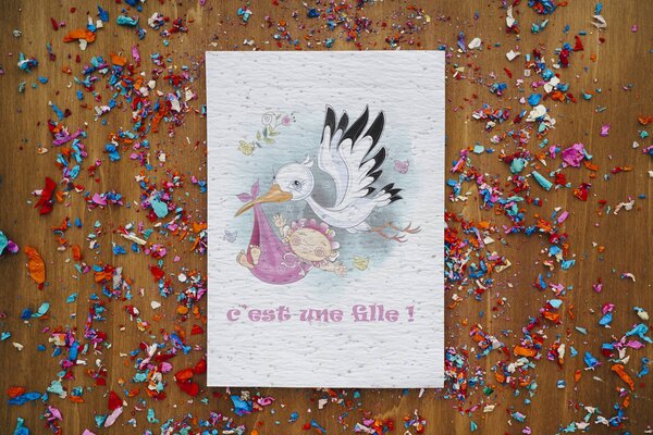 Carte à planter cigogne naissance fille