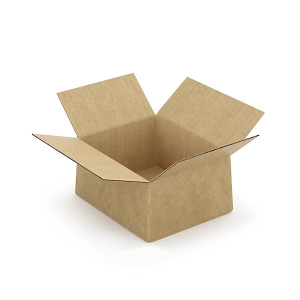 Caisse carton brune simple cannelure à montage instantané raja 16x13x8 cm (lot de 20)