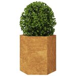 vidaXL Jardinière hexagone 46x40x45 cm acier résistant aux intempéries