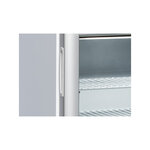 Mini armoire réfrigérée vitrée négative  - 90 l - cool head - r290 - acier1610vitrée x540x685mm