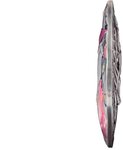 Pièce de monnaie en Argent 50 Dollars g 155.5 (5 oz) Millésime 2025 Patterns of Nature FLAMINGOS