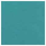 Papier cadeau kraft lumière bleu vert 70 cm x 100 m