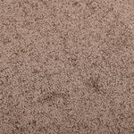 vidaXL Paillasson Marron 60x80 cm