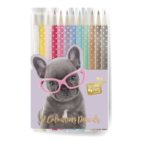 Pochette de 12 crayons de couleurs studio pets