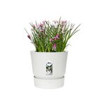 ELHO Pot de fleurs rond Greenville 40 - Extérieur - Ø 39 x H 36,8 cm - Blanc