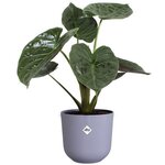 3 pots de fleur ronds Ø 14 x 13 1  Ø 16 x 15 3  Ø 19 x 17 6 cm - Lila et Blanc