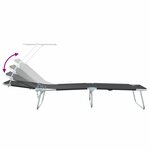 vidaXL Transat 2-personne 2 Pièces Noir 58 x 188 x 77cm tissu
