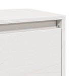 vidaXL Armoires murales 2 Pièces Blanc 100x30x35 cm Bois de pin massif