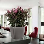 LECHUZA Jardinière QUADRO LS 43 ALL-IN-ONE charbon 16183