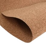 vidaXL Rouleau de liège 100x200 cm 2 mm
