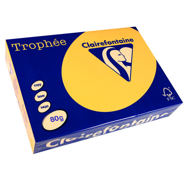 Ramette 500 Feuilles Papier 80g A4 210x297 mm Certifié FSC Bouton d'Or CLAIREFONTAINE