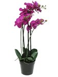 Orchidée phalaenopsis faux 3 hampes &pot h60cm top qualité fushia best - couleur: rose fushia