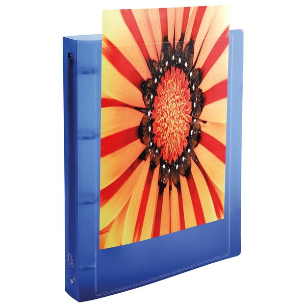 Classeur 4 Anneaux 15mm Polypropylène Opaque 5/10e Krea Cover - A4 - Couleurs Assorties - X 20 - Exacompta