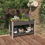 vidaXL Lit surélevé de jardin avec étagère Gris 120x50x75 cm WPC