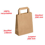 Lot de 250 sacs cabas en papier kraft brun marron havane avec poignée plate 260 x 140 x 290 mm 10 Litres résistant papier 80g/m² non imprimé