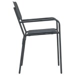 vidaXL Chaises de jardin 2 Pièces Anthracite 51 x 55 x 81 cm Acier