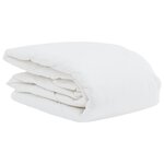 vidaXL Duvet d'été simple avec oreiller 2 pc Blanc Plume de canard