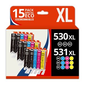 123CONSOMMABLES - PGI530 - CLI531 - Cartouche d'encre Compatible avec Canon PGI-530 / CLI-531 Multipack pour Pixma TS8750 TS8751 (6 Noir / 3 Cyan / 3 Magenta / 3 Jaune)