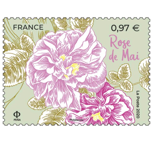 Timbre - Rose de mai - Lettre verte