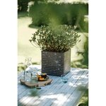 Capi Jardinière Nature Row carrée 30x30x30 cm Vert olive