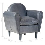 vidaXL Fauteuil tube Gris 77x65x79 cm Cuir véritable