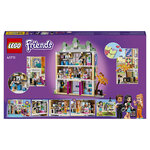 41711 L ecole d art d'emma ® Friends