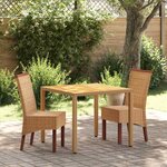 vidaXL Chaises à manger lot de 2 marron rotin naturel