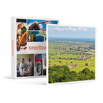 SMARTBOX - Coffret Cadeau Vol en hélicoptère de 20 min pour 2 personnes en Alsace -  Sport & Aventure