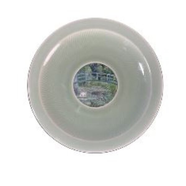 WATER LILY POND 1889 By Claude Monet 2 Once Argent Monnaie 10000 CFA Francs Tchad 2024