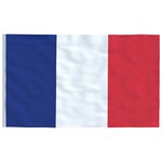 vidaXL Drapeau de la France et mât 6 08 m Aluminium