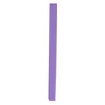 Livre D'or 140 Pages Tranche Or Plum' - Violet - Exacompta