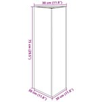 vidaXL Jardinières 2 Pièces triangulaire 30x26x75 cm acier galvanisé