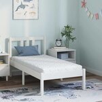 vidaXL Matelas avec Couche de Coco Blanc 160 x 80 cm Mousse PU