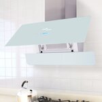Vidaxl hotte avec écran tactile blanc 900 mm