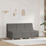 vidaXL Unité de Sofa Modulaire Sans Accoudoirs 3 Pièces Gris clair