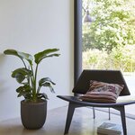 Capi Jardinière Urban Tube 35x34 cm noir KBLT932