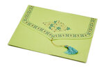 PAPERTREE SITARA Lot de 5 Enveloppes cadeau 18x15 cm -Anis