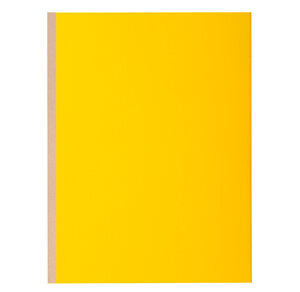 Pt 10 chem.à soufflet ROCK''S 320g citro EXACOMPTA