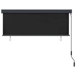 vidaXL Store Roulant Extérieur Rayé Anthracite 180 x 250 cm tissu