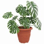 vidaXL Pot à fleurs rond 24 Pièces Rouge brique Ø 26 x 21 5 cm Plastique