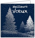 Carte carrée meilleurs vœux bonne année sapins argentés avec enveloppe blanche