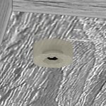 vidaXL Table basse Gris Sonoma 101 5 x 50 x 37 cm Bois d'ingénierie