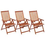 vidaXL Chaises pliables de jardin lot de 3 Bois d'acacia solide