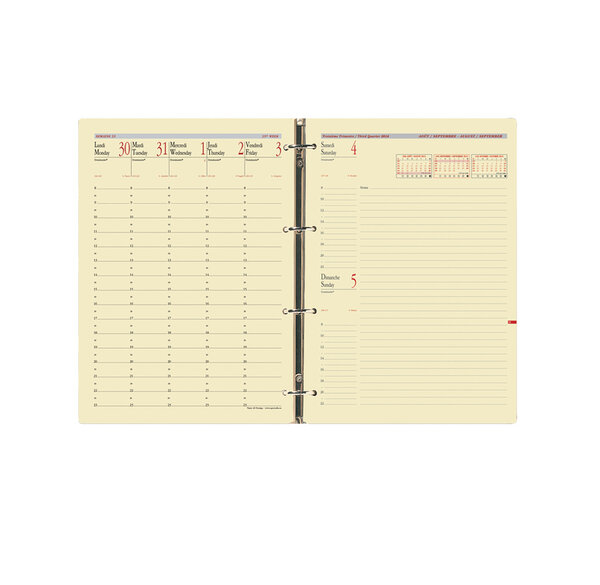 Recharge Agenda Organiseur Timer 29 Prestige FR 21 x 29 cm QUOVADIS