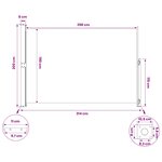 vidaXL Store latéral rétractable Rectangulaire 200 x 300 cm